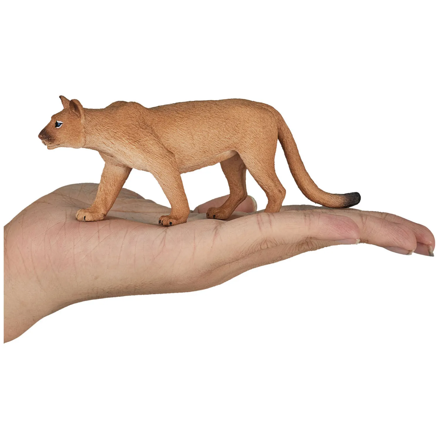 Mojo Wildlife Poema - 387143 Online