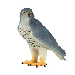 Wildlife Slechtvalk - 381056>Mojo Discount