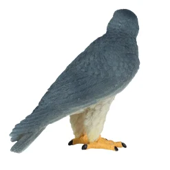 Wildlife Slechtvalk - 381056><noscript><img width=