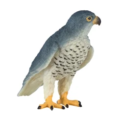 Wildlife Slechtvalk - 381056><noscript><img width=