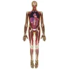 MRI-Scan Lichaam - 3dlg.> Sale