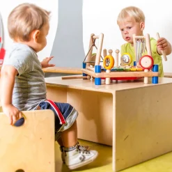 Muziekcentrum met 9 Instrumenten- Online