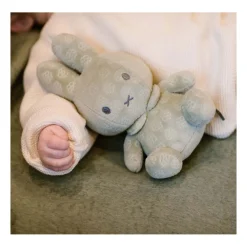 Nijntje Knuffel - Groen, 20cm Best