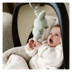 Nijntje Trilfiguur - Groen Discount