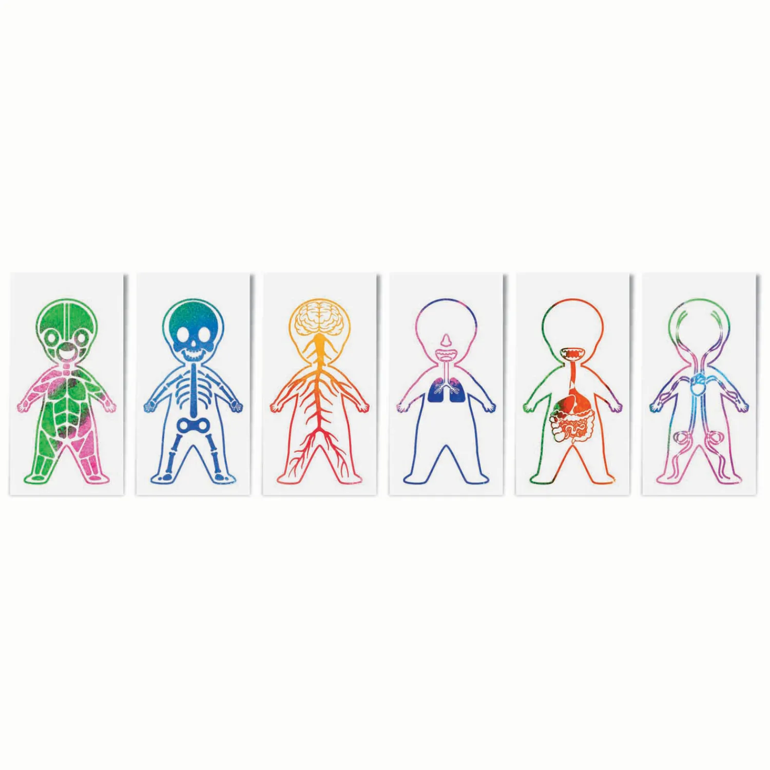 Ontdek en Kleur je Lichaam - 250st.> Hot