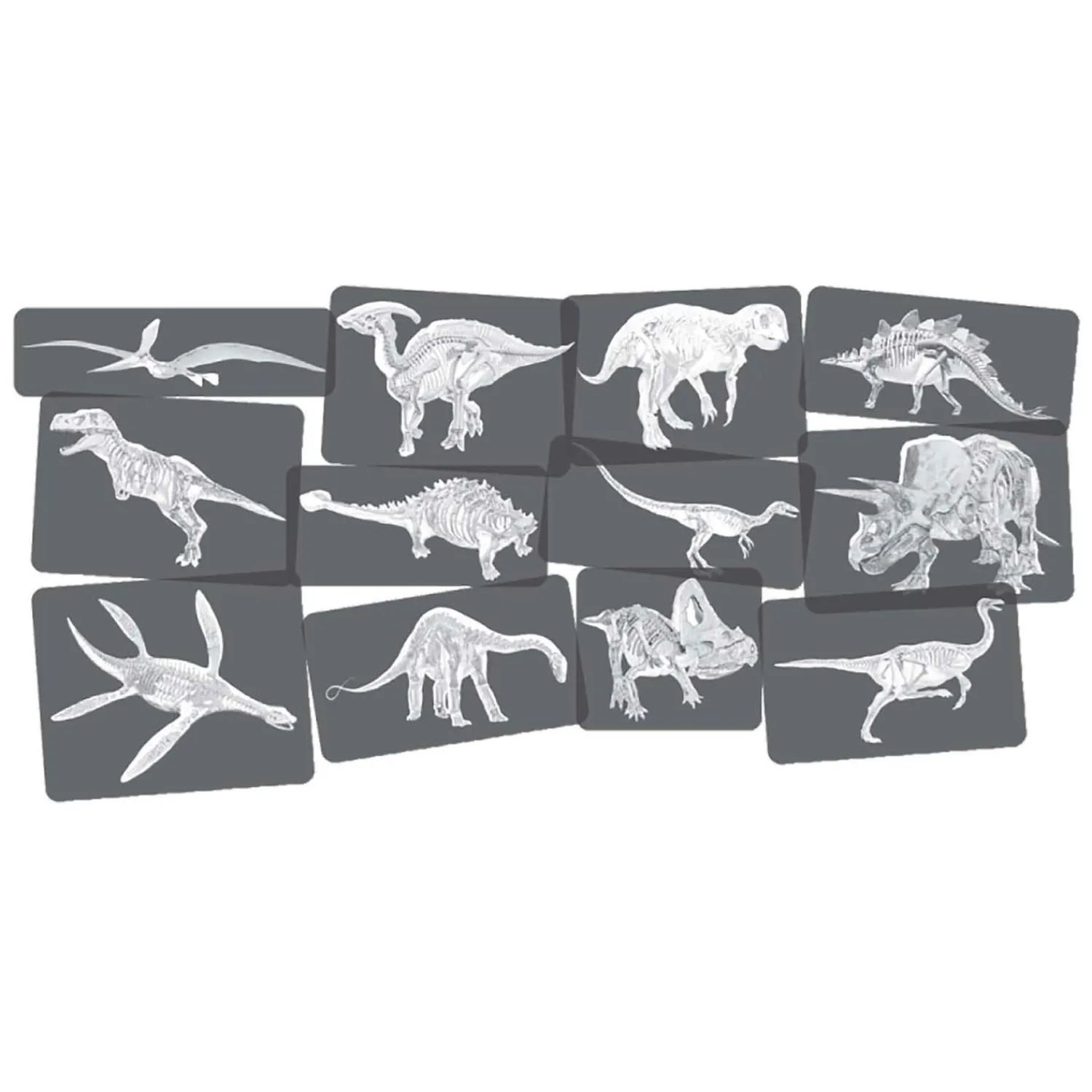 Ontdekkingskaarten Dino Afbeeldingen en X-Ray - 24st.- Sale