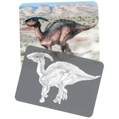Ontdekkingskaarten Dino Afbeeldingen en X-Ray - 24st.- Sale