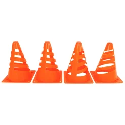 Oranje Pionnen, 4st. Online