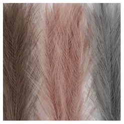 Pampasgras Blauw/Lila/Roze, 3st.><noscript><img width=