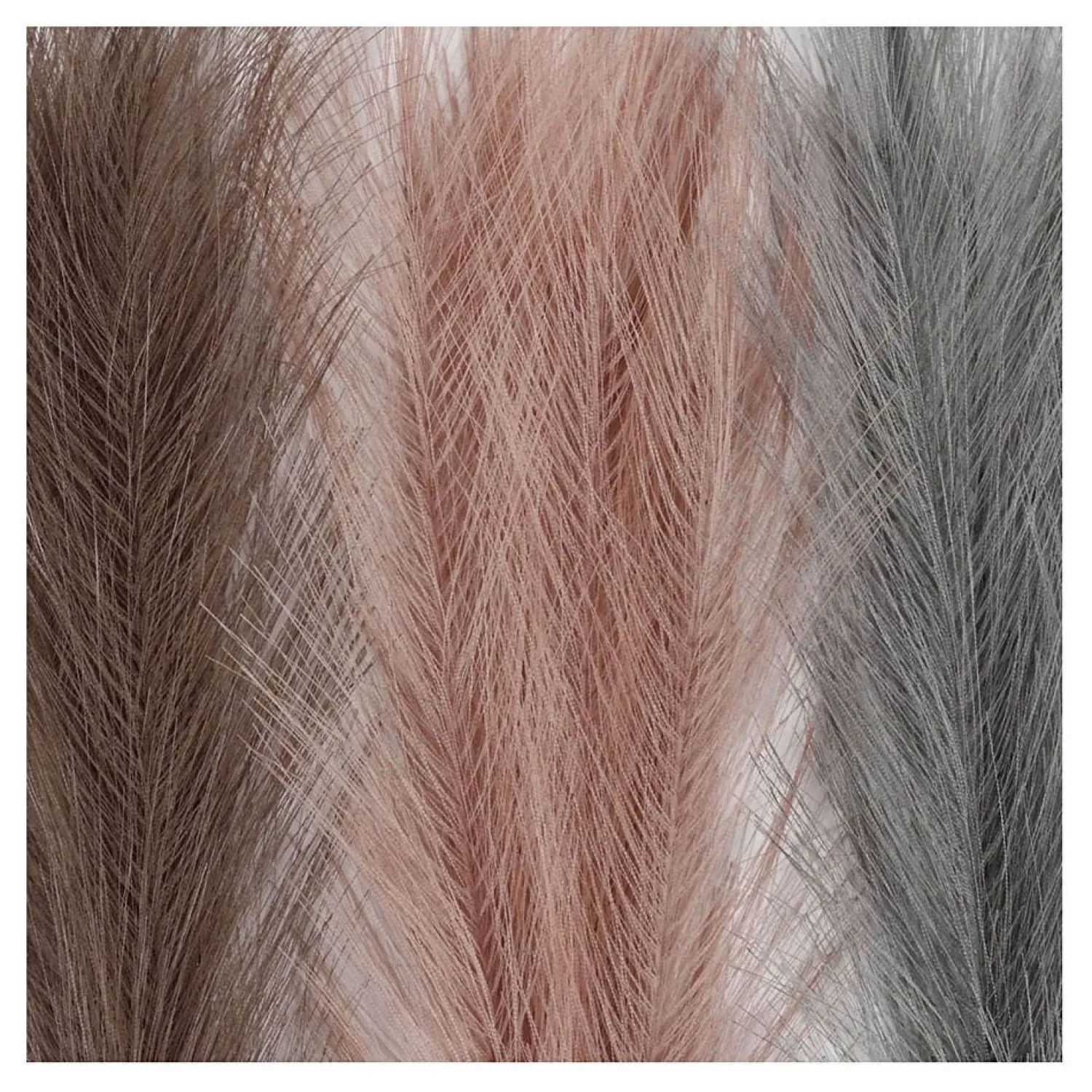 Pampasgras Blauw/Lila/Roze, 3st.>Creativ Company Best