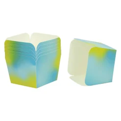 Papieren Feest Snackboxen Klein, 6st. Discount