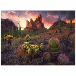 Legpuzzel Cactus, 500st.>Ravensburger Online