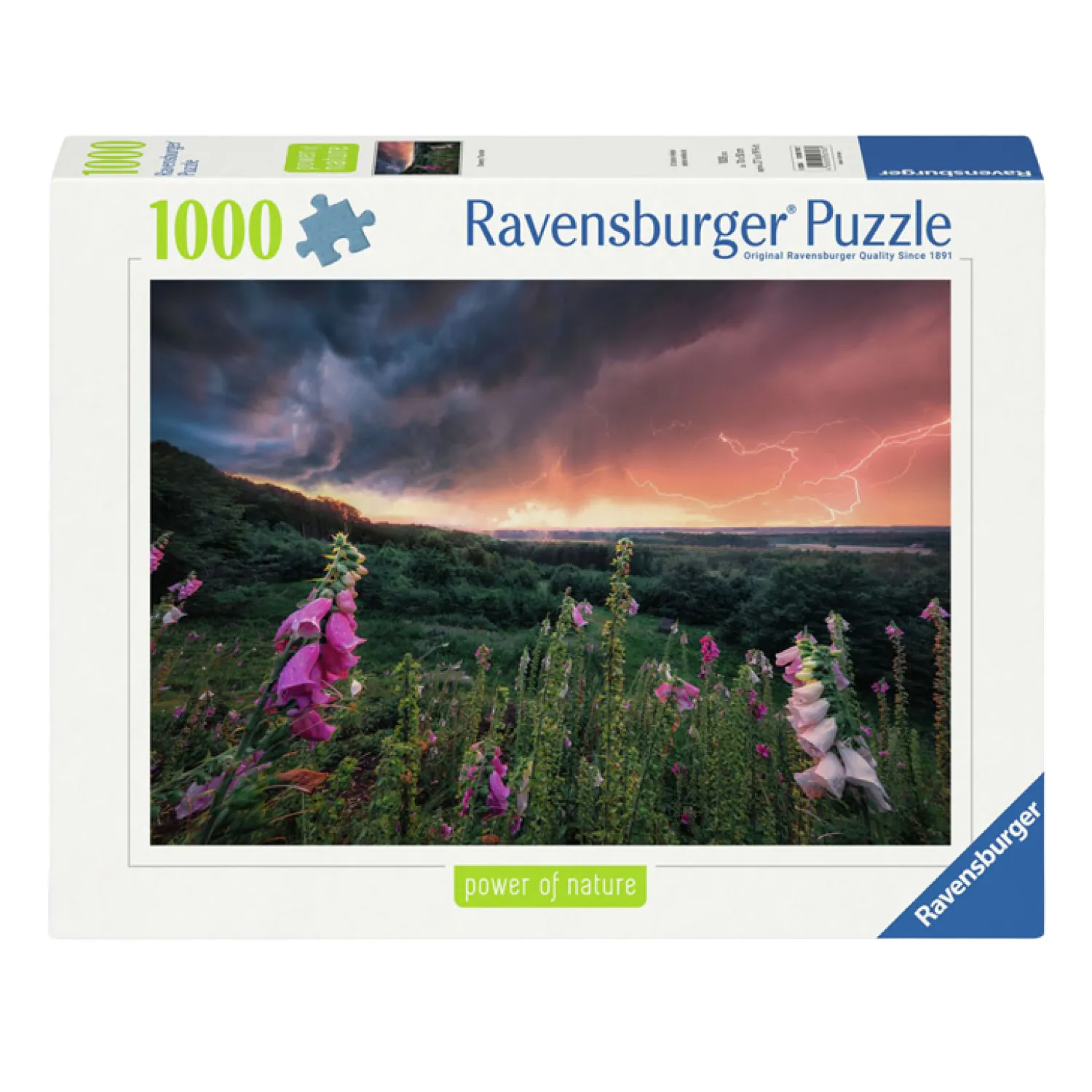 Legpuzzel Ein Sturm Zieht Auf, 1000st.-Ravensburger Clearance