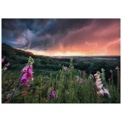 Legpuzzel Ein Sturm Zieht Auf, 1000st.-Ravensburger Clearance