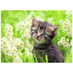 Legpuzzel Katje in de Wei, 500st.>Ravensburger Hot