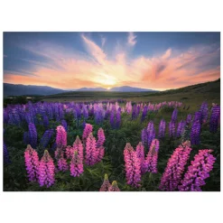 Ravensburger Legpuzzel Lupinen, 1000st. Clearance