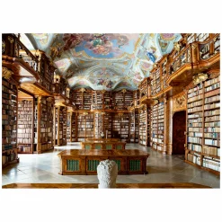 Legpuzzel New York Publieke Bibliotheek - 1000st.-Ravensburger Outlet