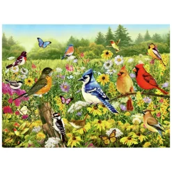 Legpuzzel Vogels in de Wei, 1000st.-Ravensburger