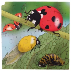 - Groei en 4 Lagenpuzzel Lieveheersbeestje - 86st.-Rolf Clearance