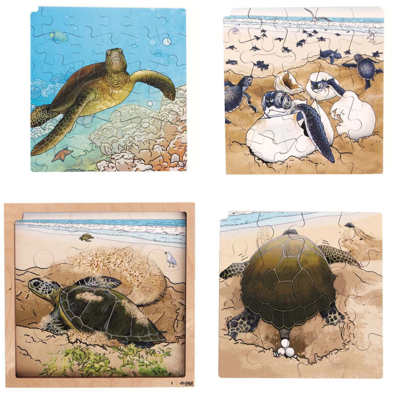 Rolf - Groei en 4 Lagenpuzzel Schildpad - 86st. Outlet