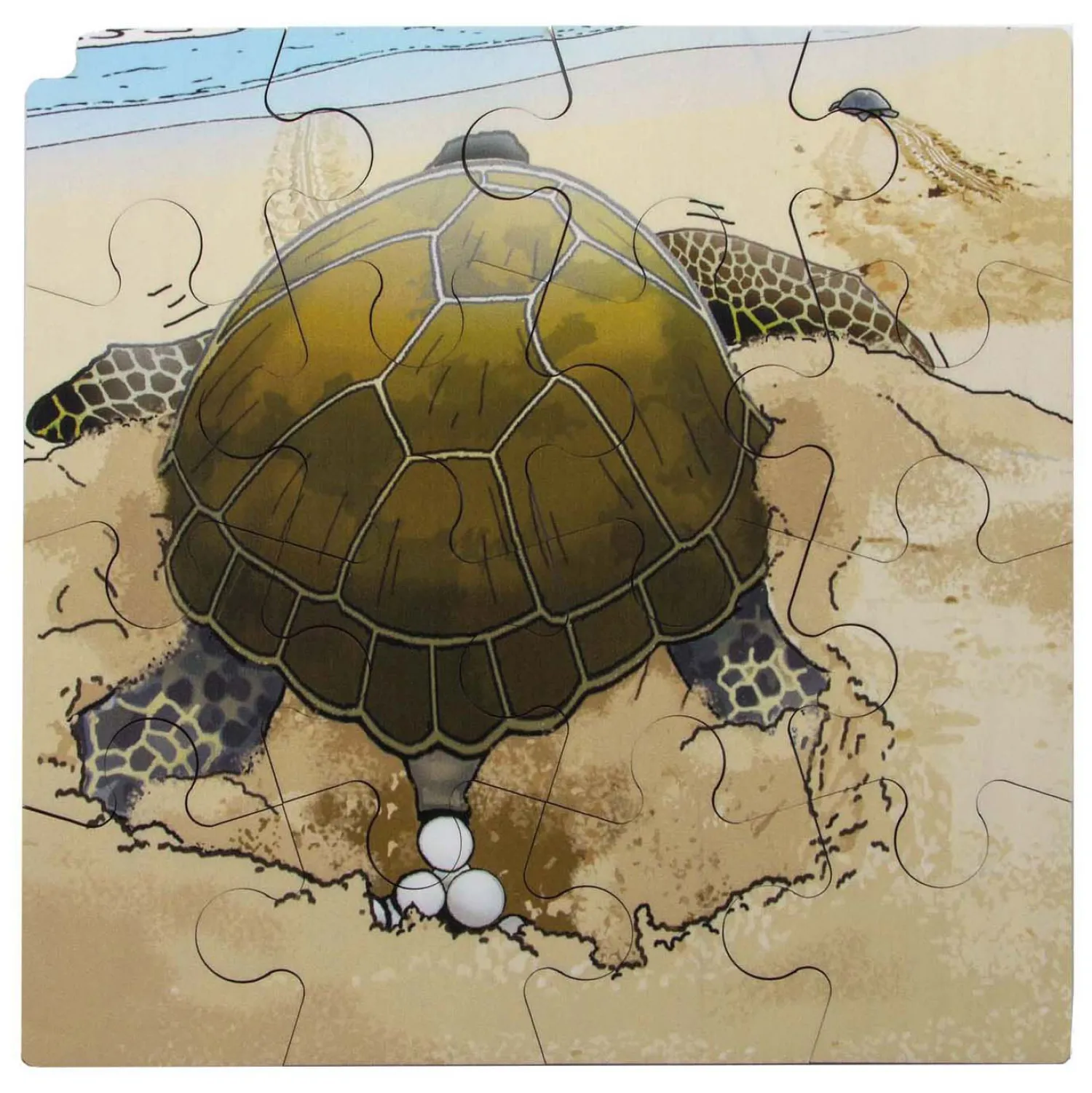 Rolf - Groei en 4 Lagenpuzzel Schildpad - 86st. Outlet