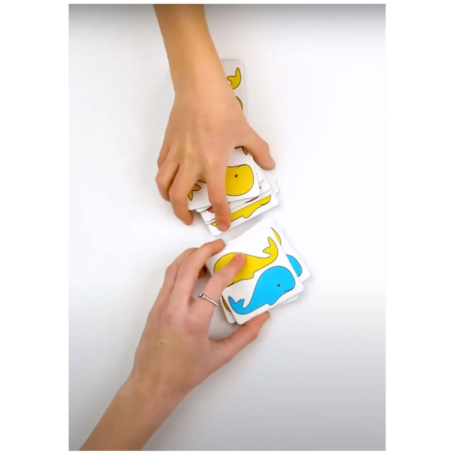 Basics - Walvis Duo's In Memospel>Rolf Outlet