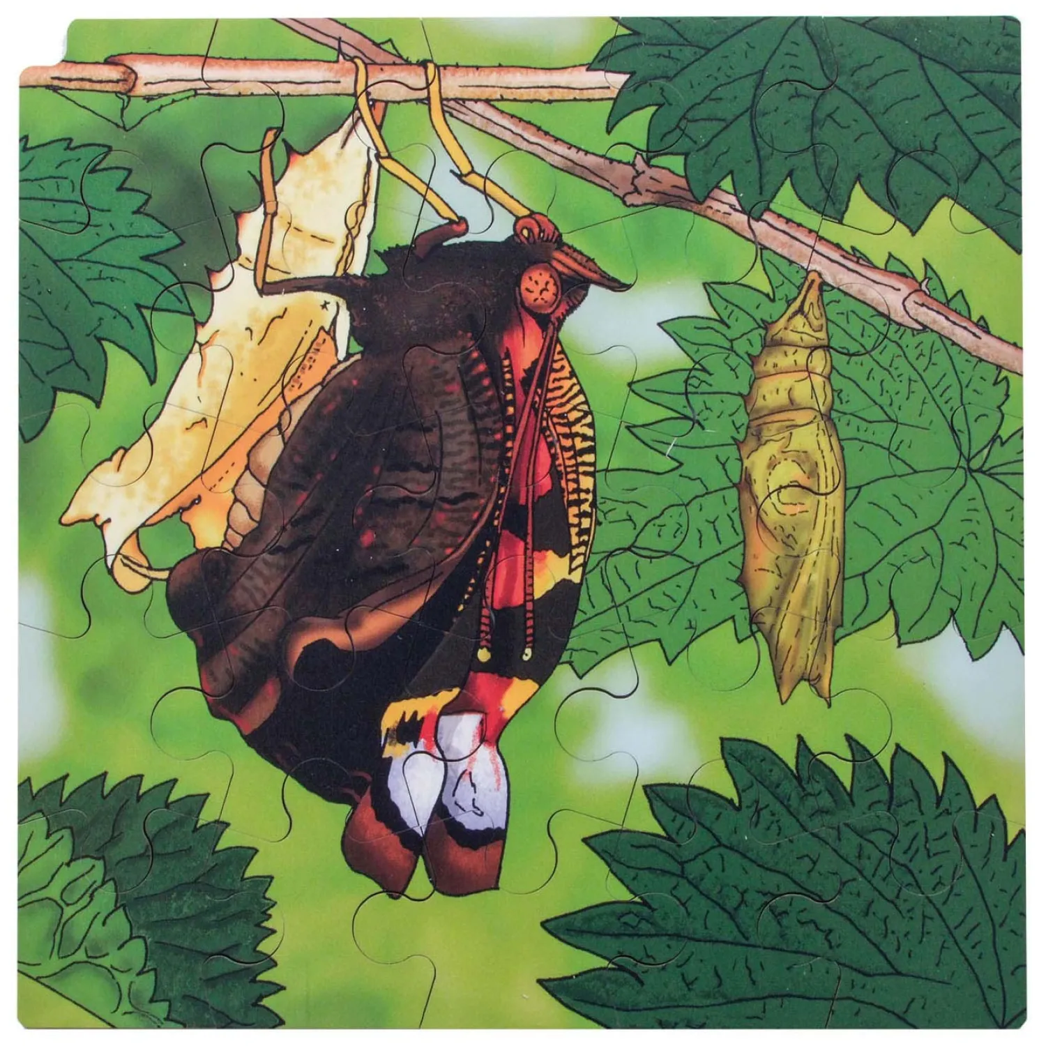 Connect - Groei en 4 Lagenpuzzel Hout Vlinder, 86st.-Rolf Best