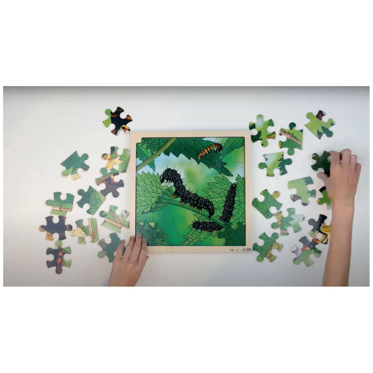 Connect - Groei en 4 Lagenpuzzel Hout Vlinder, 86st.-Rolf Best