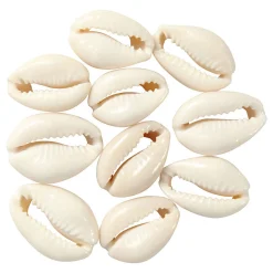 Schelpen Wit, 12st.>Creativ Company Sale