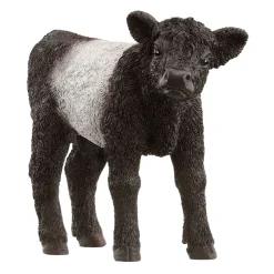 FARM WORLD Galloway Kalf 13969>schleich Best