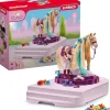 HORSE CLUB Paardenverzorgingsplek 42617>schleich Online