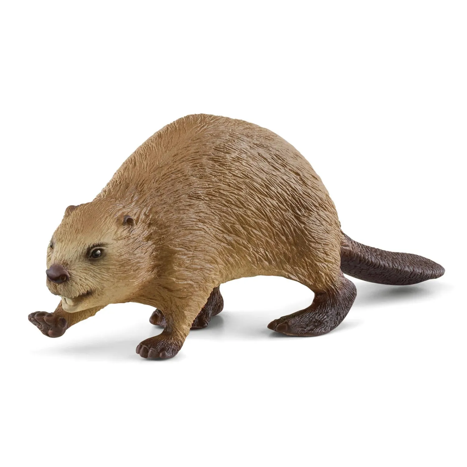 WILD LIFE Bever 14855-Schleich Discount