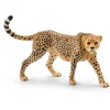 Schleich WILD LIFE Cheetah Vrouwtje 14746 Hot