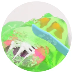 Science Explorer Kikker Anatomie Slijm>Johntoy