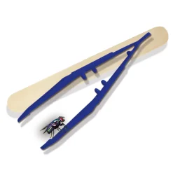 Explore - Insecten Explorer><noscript><img width=