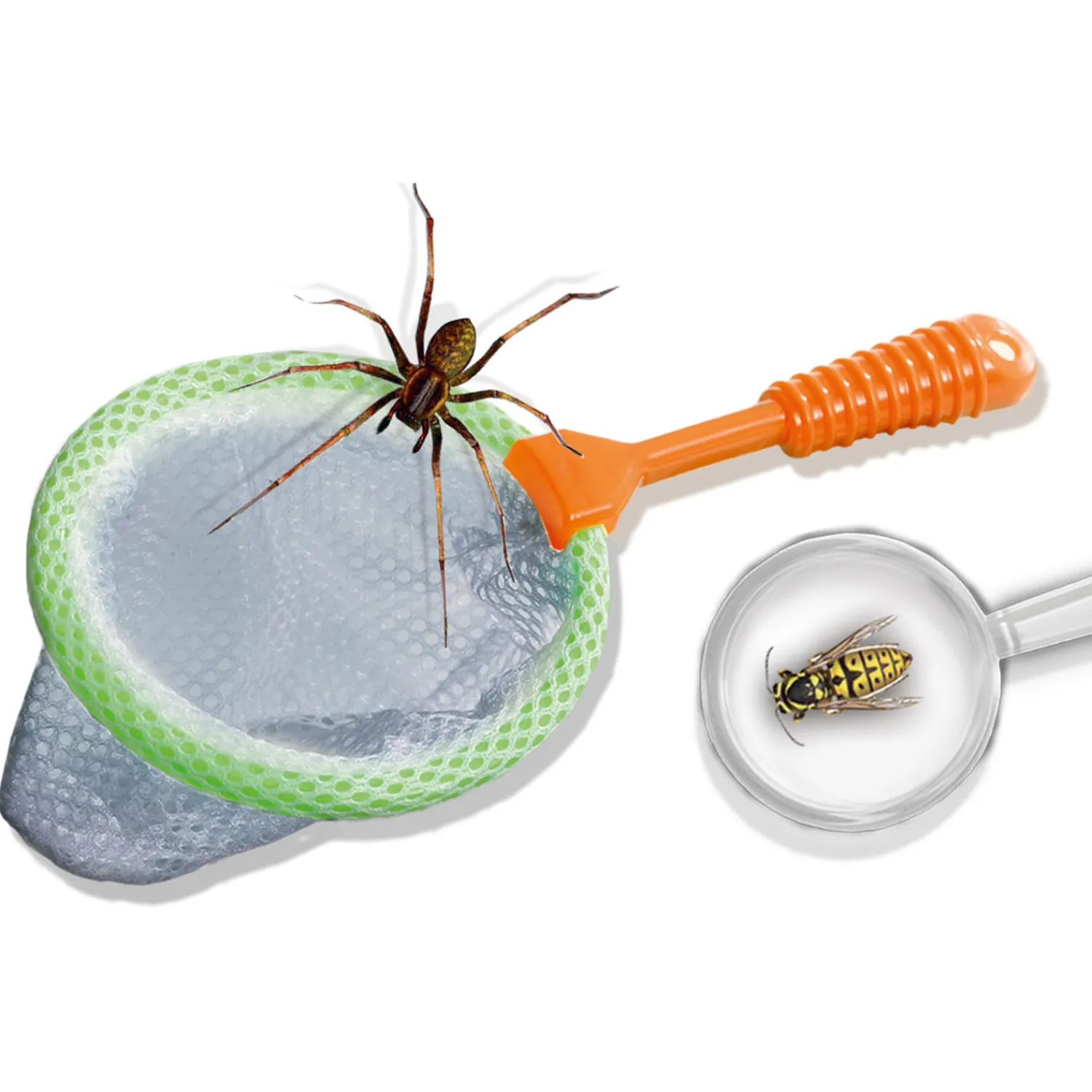 Explore - Insecten Explorer>SES New