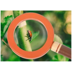 Small Foot - Explorer's Gereedschapsriem Discover Best