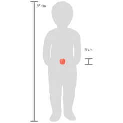 - Houten Snij- en Speeleten Fruit Set, 13dlg.-Small Foot Online