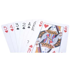 Speelkaarten Longfield geplastificeerd><noscript><img width=