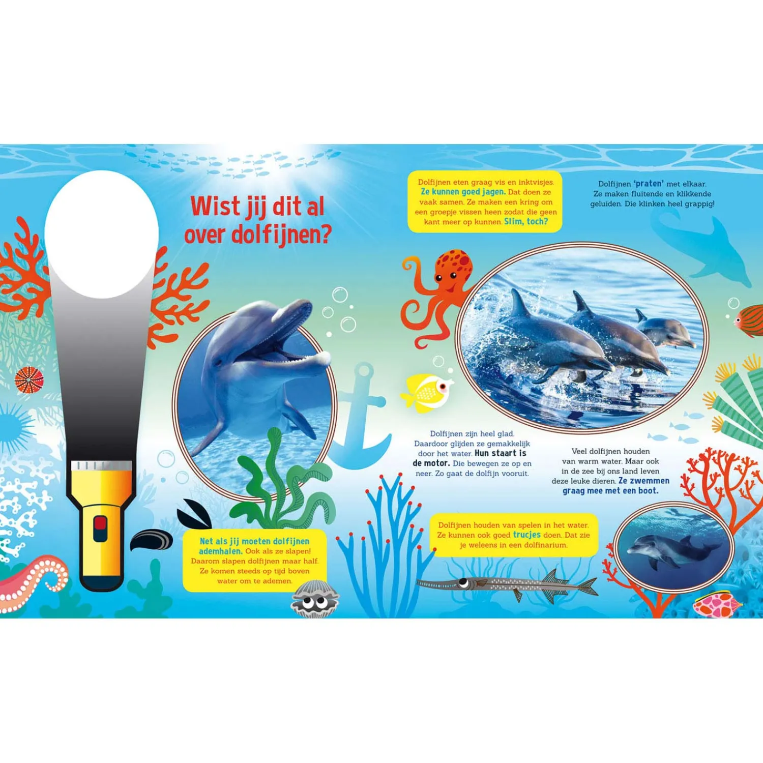 Speuren naar Dolfijnen + kartonnen zaklamp> Online