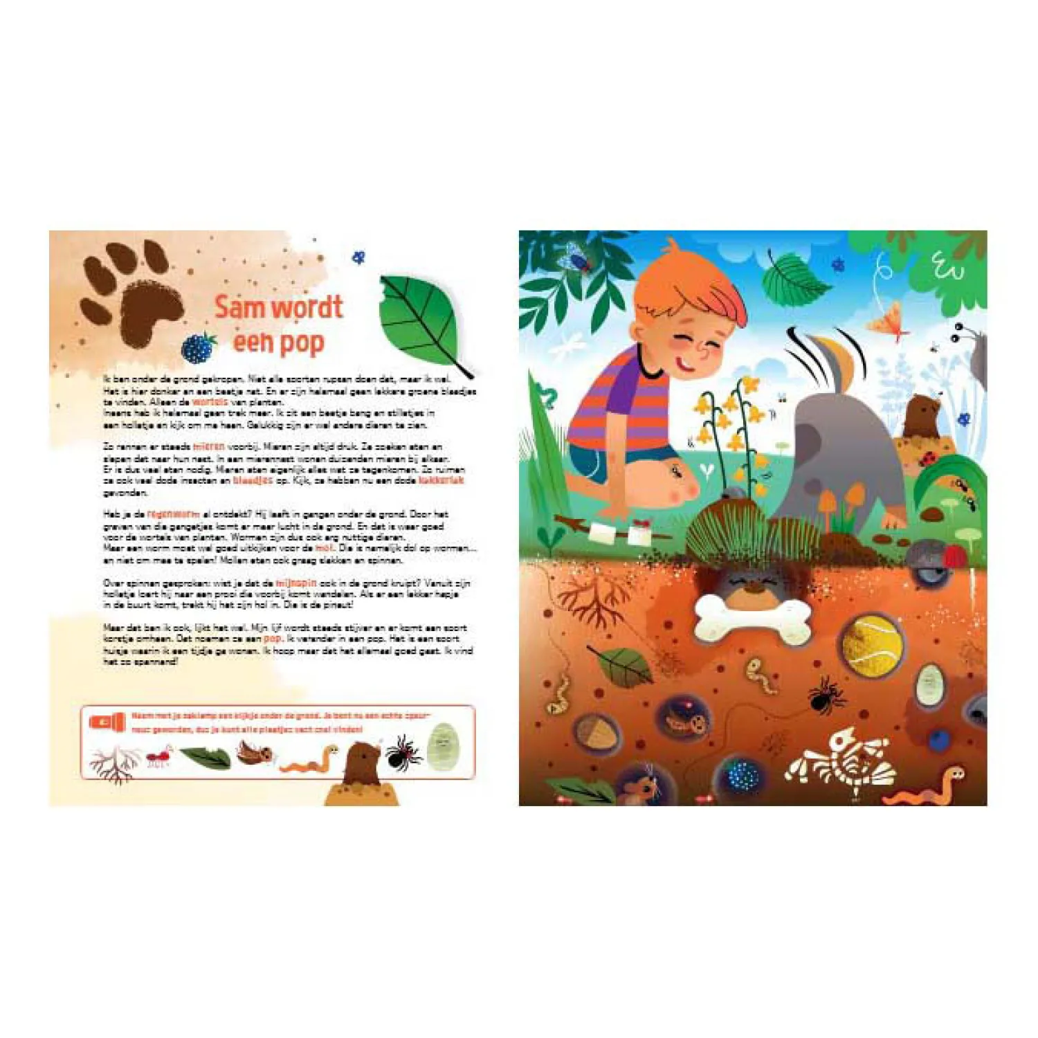 Speuren Naar Insecten Zoekboek met Kartonnen Zaklamp>Lantaarn Publishers New