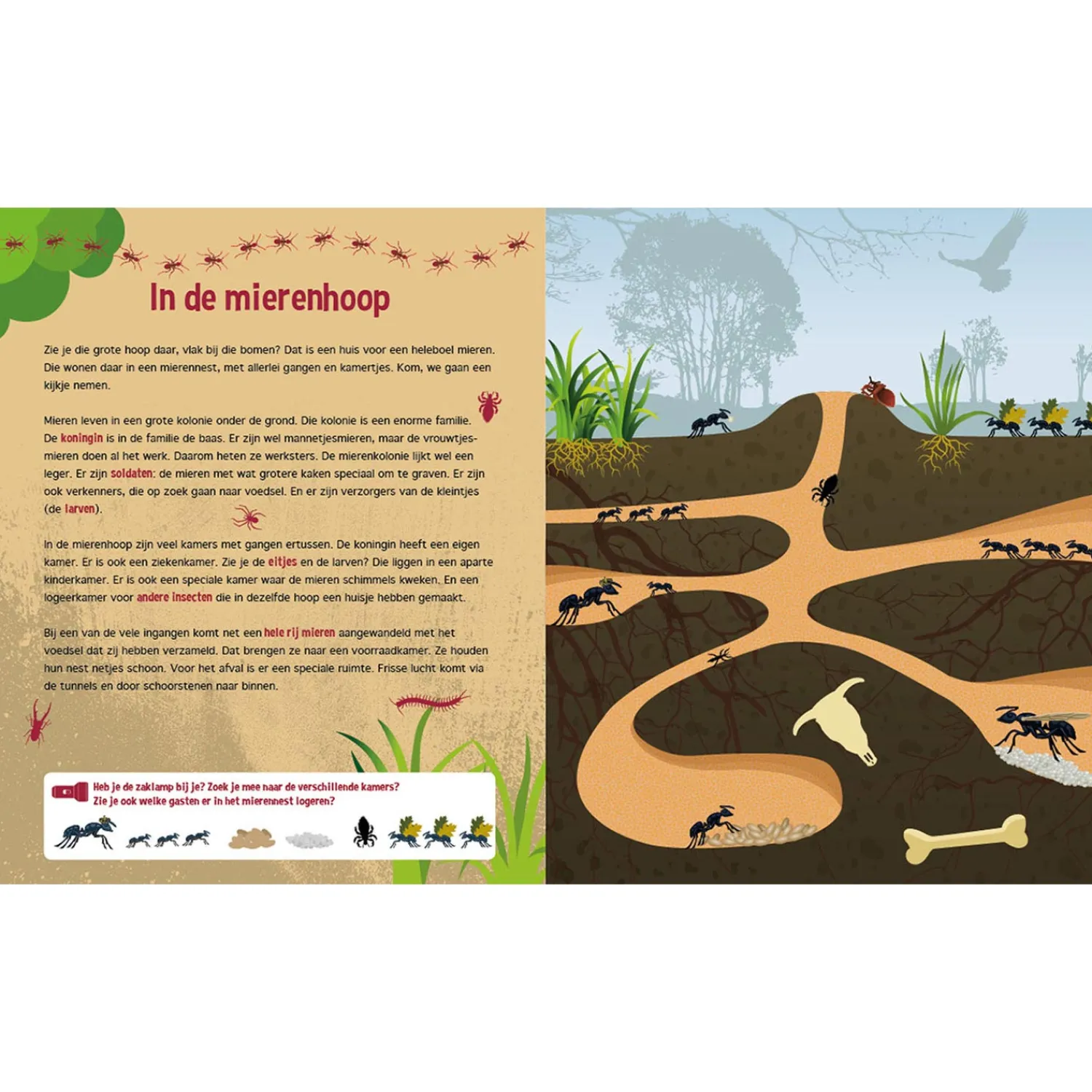 Speuren onder de Grond + kartonnen zaklamp>Lantaarn Publishers Outlet