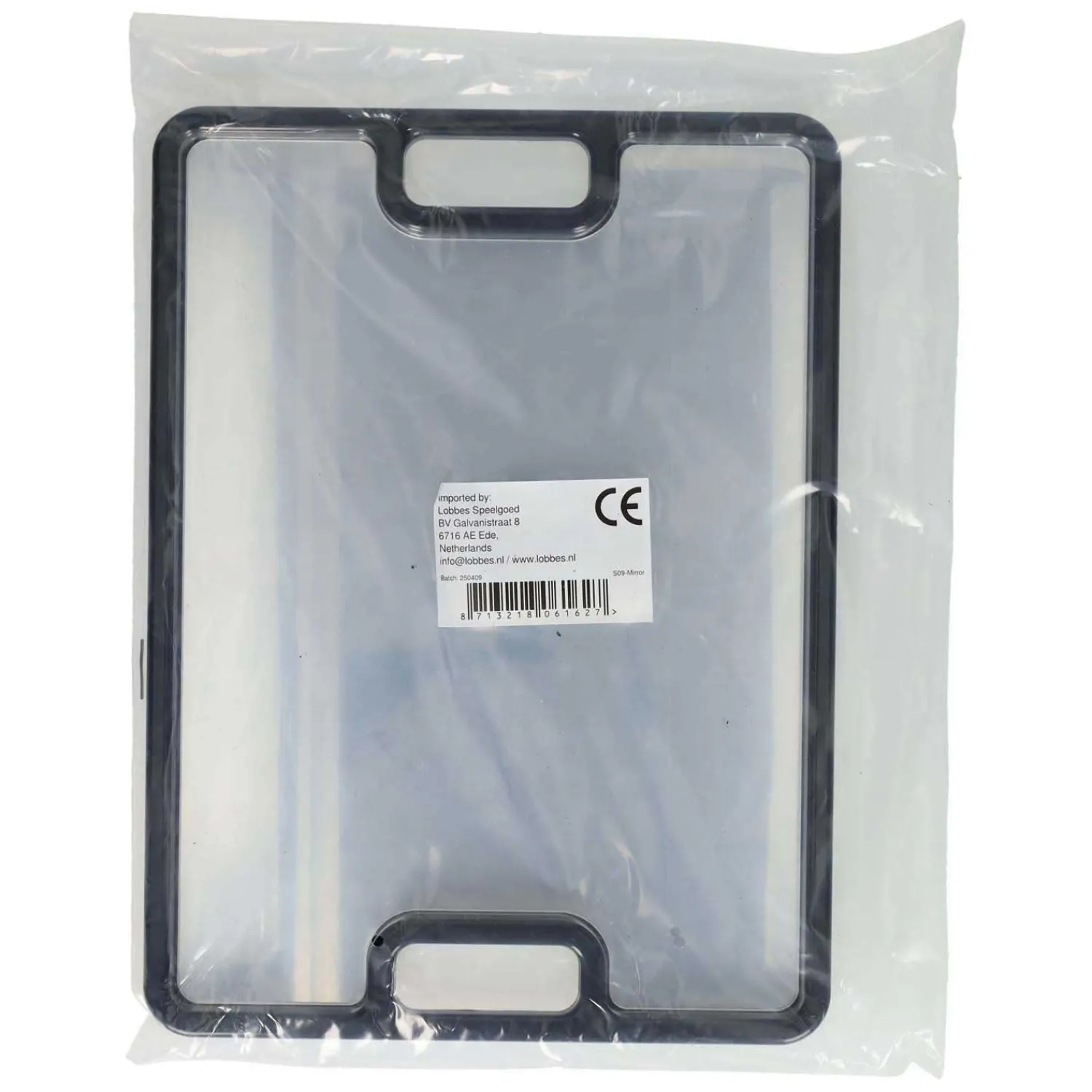 Spiegel Dienblad met Handvat Hot