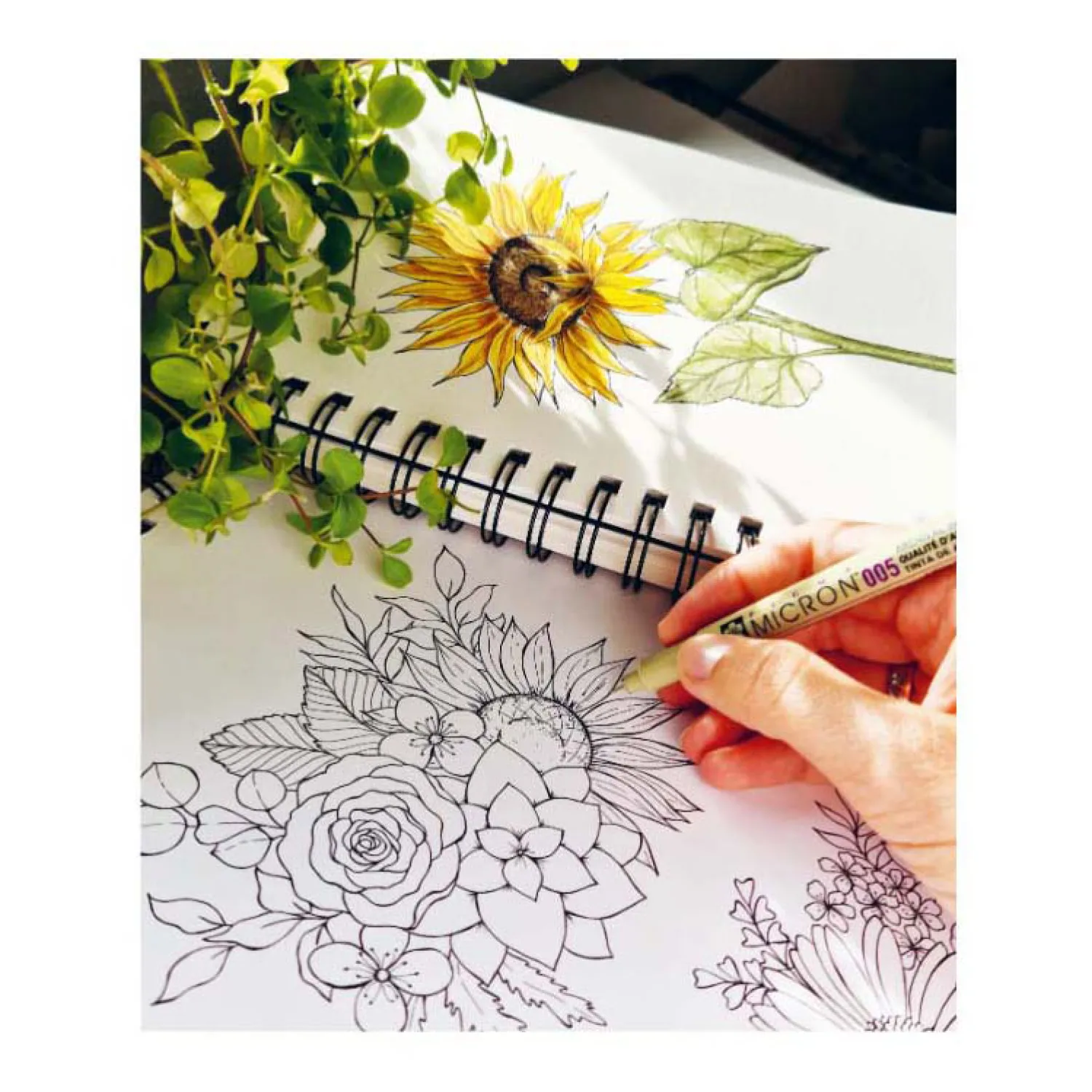 Stap Voor Stap Bloemen Leren Tekenen-Deltas Outlet