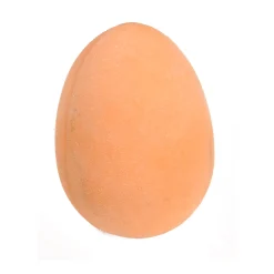 Stuiter Ei-Duckiez Online