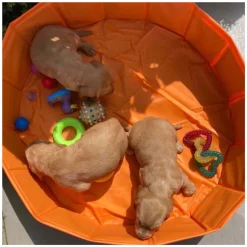 - Bonebash Oranje Hondenbad, 80cm><noscript><img width=