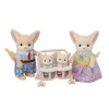 5696 Familie Woestijn Vos-Sylvanian Families Best