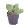 Take Me Home Knuffel Plant Pluche - Donkergrijze Pot Lichtgroen Blad Hot
