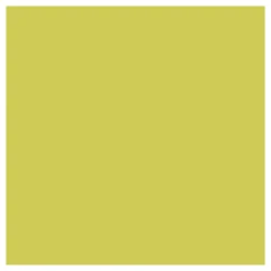 Textile Color Dekkende Textielverf - Kiwi, 50ml-Creativ Company Online