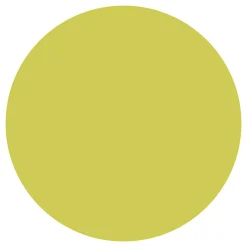 Textile Color Dekkende Textielverf - Kiwi, 250ml-Creativ Company Best